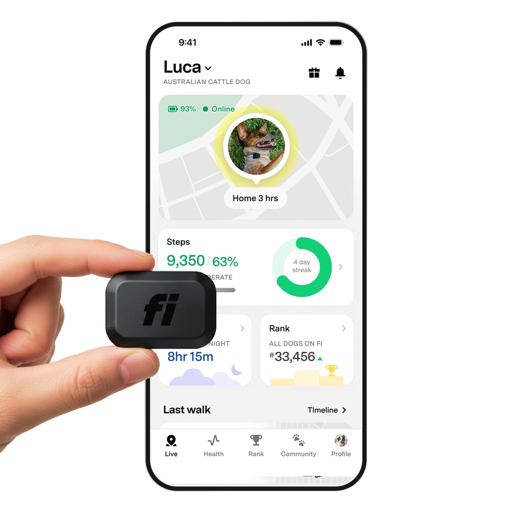 Fi Mini GPS Tracker for Dogs — 6-Month Membership Included — Smart Pet Tracking Collar Attachment — Lightweight, Virtual Fences, Escape Alerts, Step & Health, Waterproof