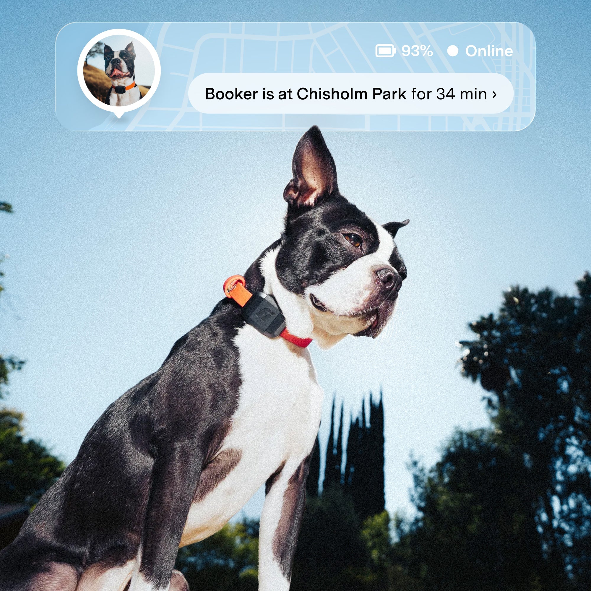 Fi Mini GPS Tracker for Dogs — 6-Month Membership Included — Smart Pet Tracking Collar Attachment — Lightweight, Virtual Fences, Escape Alerts, Step & Health, Waterproof