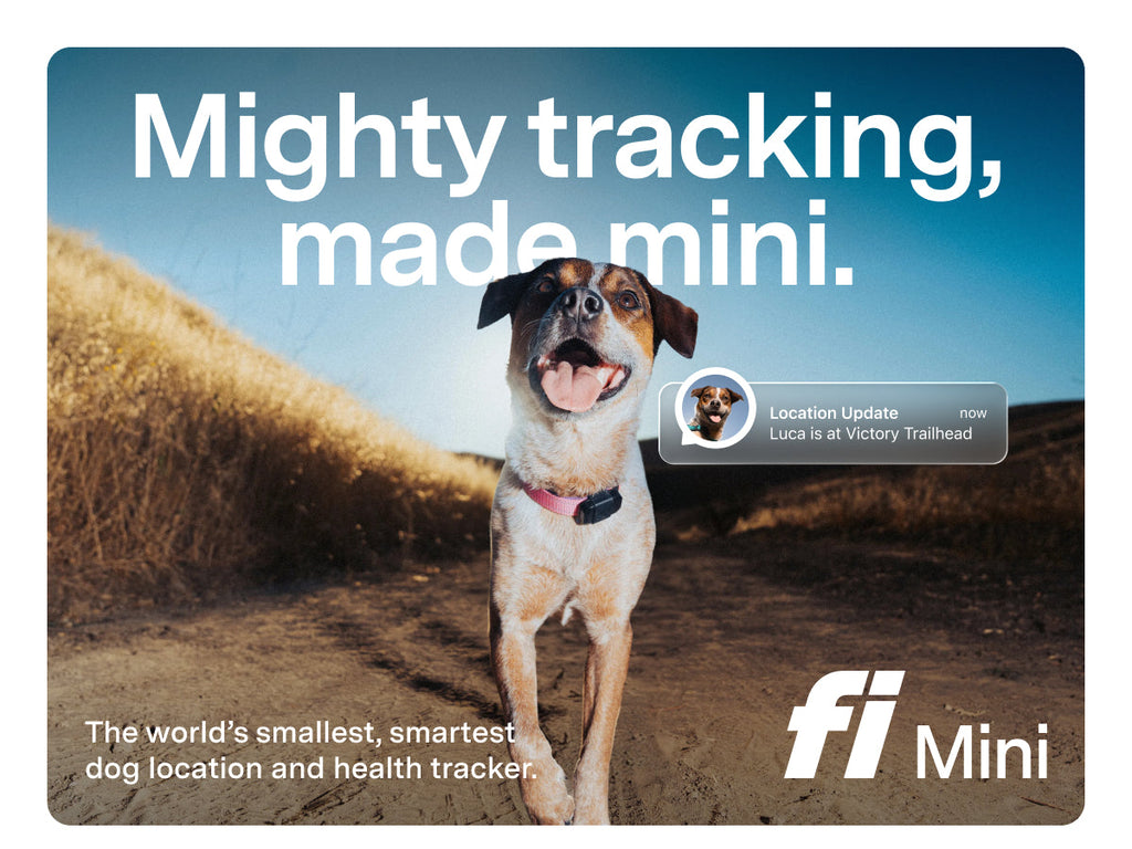 Fi Mini GPS Tracker for Dogs — 6-Month Membership Included — Smart Pet Tracking Collar Attachment — Lightweight, Virtual Fences, Escape Alerts, Step & Health, Waterproof